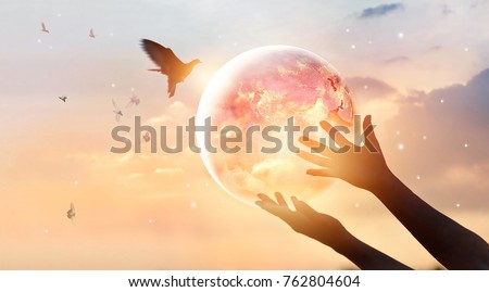 Woman touching planet earth of energy consumption of humanity at night, and free bird enjoying nature on sunset background, hope concept, Elements of this image furnished by NASA  Royalty-Free Stock Photo #762804604
