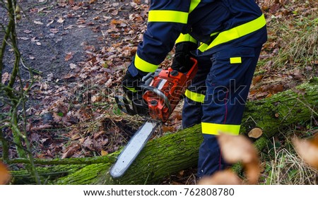 Firefighters in action clear the fallen trees after a windy storm.