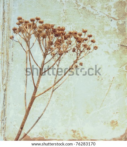 Vintage flower on old book background