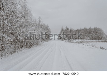 winter rural scene with snow covered trees and country road trails. latvia