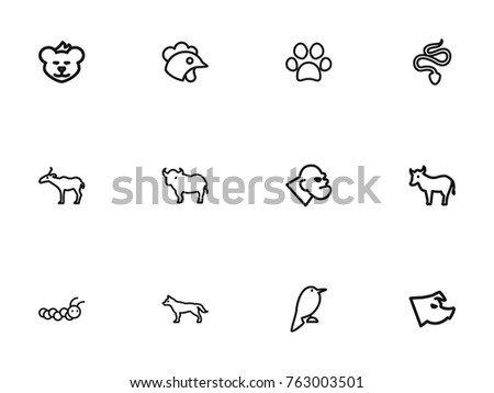 Set Of 12 Editable Zoology Outline Icons. Includes Symbols Such As Philomel, Canine, Cougar And More. Can Be Used For Web, Mobile, UI And Infographic Design.