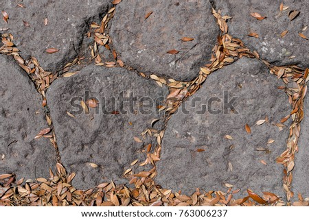 Background texture pattern of dried olive leaves. Dry leaves on old stones in ruins of Ancient Roman city Pompeii, Campania region, Italy. Full frame picture. View from above.