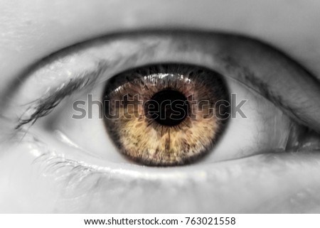 human brown eye macro