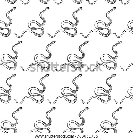 Snake on background vector illustration. Doodle style. Design, print, logo, decor, textile, paper