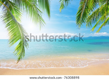 Palm and tropical beach Royalty-Free Stock Photo #76308898