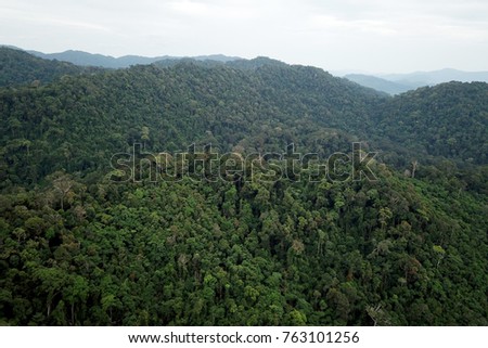 Rainforest. Aerial photo of forest jungle and mountains in Southeast Asia