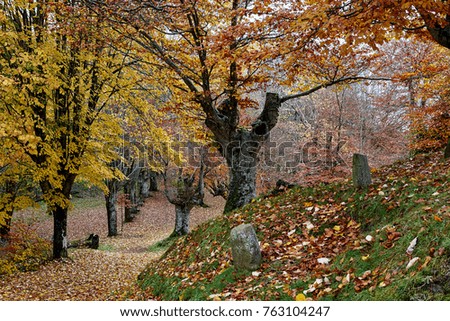 Autumnal landscape in Arrate, Eibar, Gipuzkoa, Basque Country