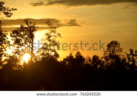 sunsets over the forest in the summer.