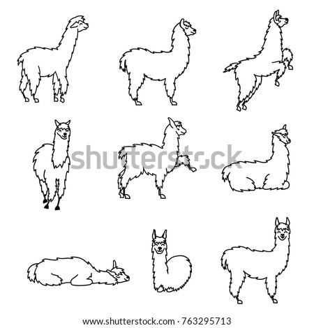 Vector set of characters. Illustration of south America cute lama. Isolated outline cartoon baby llama. Hand drawn Peru animal guanaco, alpaca, vicuna. Drawing for print, fabric, textile etc