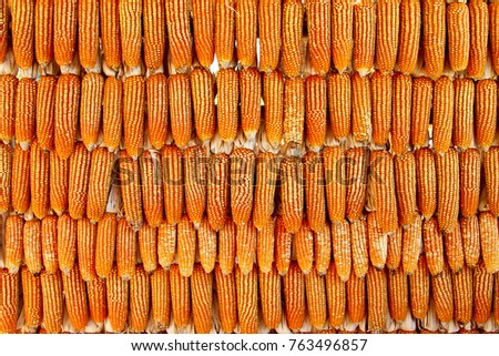 Corn for feed stuff