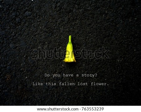 Story of lost flower.