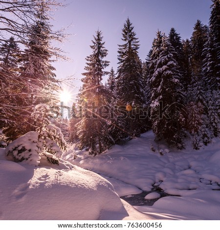 Wonderful wintry landscape. Winter mountain forest. frosty trees under warm sunlight. picturesque nature scenery. creative artistic image. Nature background. poscard. happy xmas