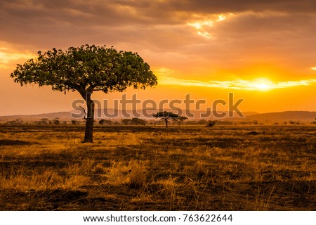 Sunset at Serengeti Park