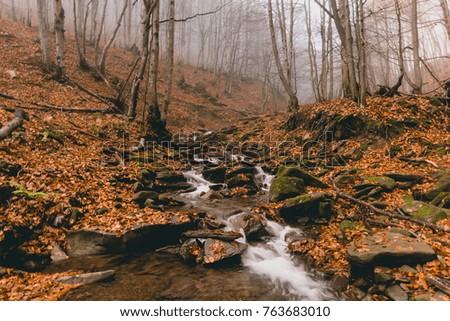 Autumn nature, mountain river, landscape forest