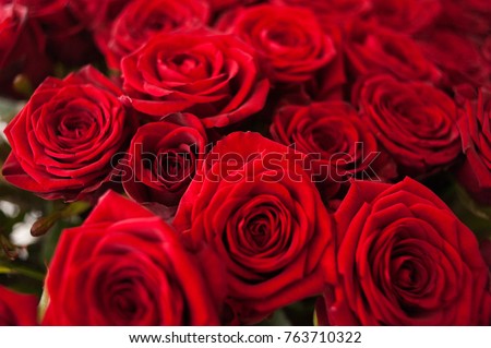 Big bouquet of roses
