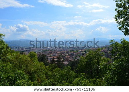 macro photo of a flower and city view with a splattered background with a sharp focus