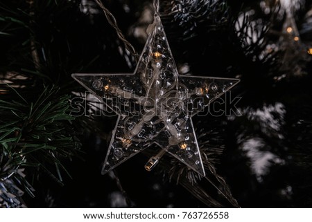 
Christmas tree star nature christmas new year holiday