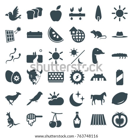 Set of 36 nature filled icons such as field, barn, cherry, lemon, honey, sun, mouse, antelope, kangaroo, parrot, goat, goose, maple syrup, apple, pot for plants, pine-tree