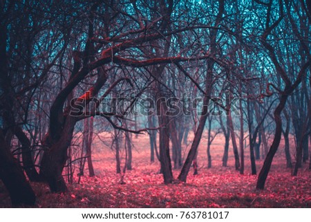Mystical mysterious forest trees in a fog with red leaves. Stranger forest colorful gradient Royalty-Free Stock Photo #763781017