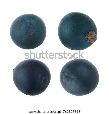 set of juniper berries isolated