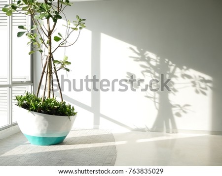 Green eco building concept. indoor green tree in office area for clean fresh air Royalty-Free Stock Photo #763835029
