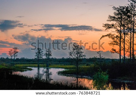 brilliant sunset reflecting in a lake through cypress trees in Louisiana Royalty-Free Stock Photo #763848721