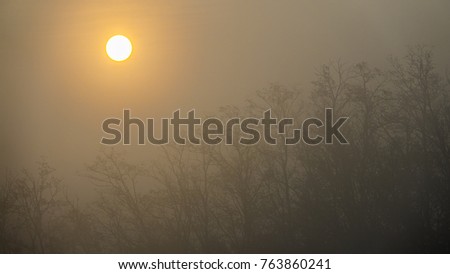 The yellow disk of the sun peaks in the misty morning mist