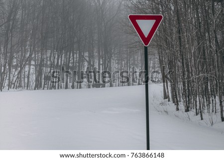 Yield Sign in the Woods