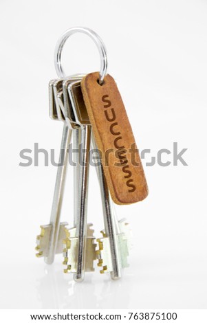 Leather key chain with keys on isolated white background. Success.