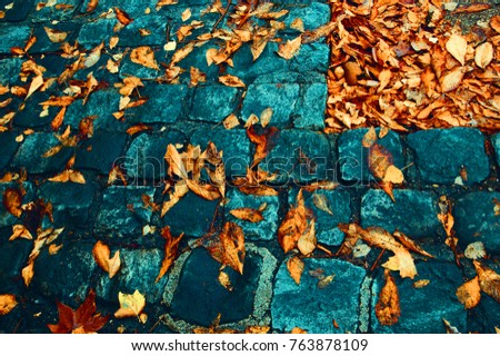 Autumn leaves on cobble stone pavement. Urban seasonal geometric patterns. Toned photo.