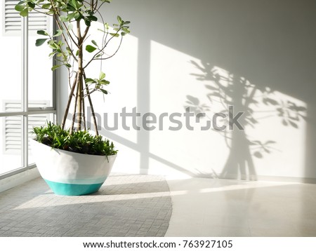 Green eco building concept. indoor green tree in office area for clean fresh air Royalty-Free Stock Photo #763927105