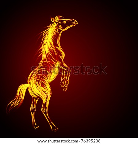 Fiery stallion. Horse