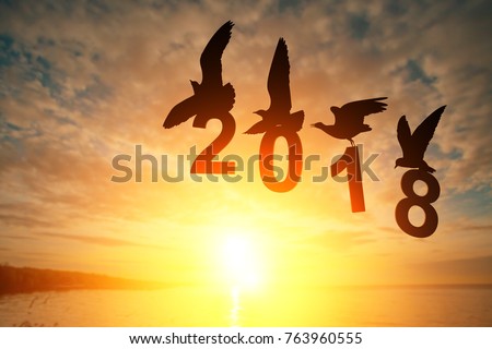 Silhouette  Seagull bird holding 2018 text on Sunset background in Happy new year Concept