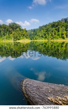 Amazing forest view with reflection at Royal Belum Forest Banding Gerik Perak Malaysia. Soft focus due to long exposure