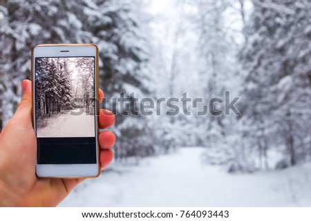 photographing on a smart phone of winter nature