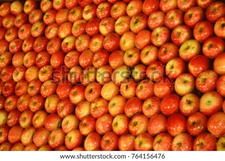 fresh red apples in water 