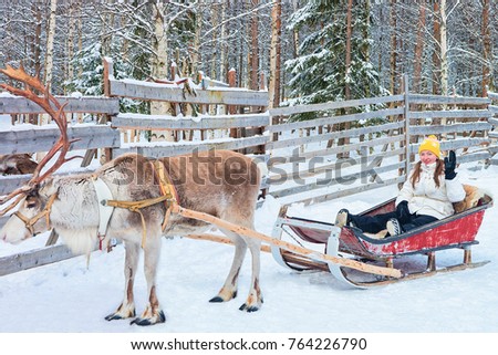 Girl riding Reindeer sleigh in winter Rovaniemi, Lapland, Finland