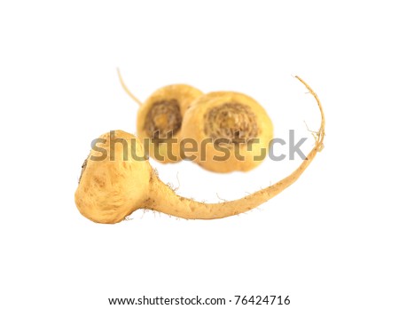 Peruvian Ginseng (Sp. Maca, lat. Lepidium meyenii) which is widely used in Peru for its various health effects and high nutritional value (Isolated) (Selective Focus, Focus on the root in the front) Royalty-Free Stock Photo #76424716