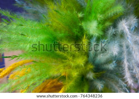 Green trends feather texture background