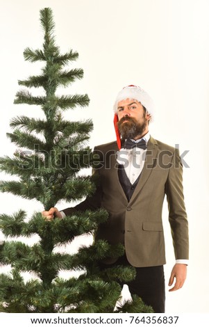 Manager with beard get ready for Christmas. Man in smart suit and Santa hat isolated on white background. New Year celebration at work concept. Businessman with strict face carries bald Christmas tree