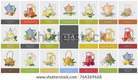 Big collection of labels or tags with various types of tea - black, green, rooibos, masala, mate, puer. Set of hand drawn tasty flavored drinks, teapots, cups and spices. Colorful vector illustration. Royalty-Free Stock Photo #764369668