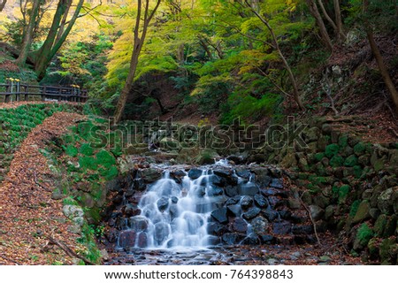 Gifu, Yoro Park: Yoro Waterfall in autumn at mid-November 2017