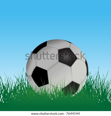 A soccer football in grass on an athletic playing field under blue sky.