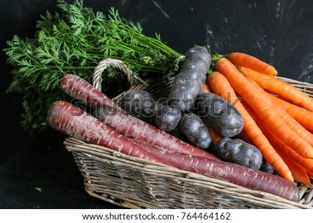 Closeup of freshly harvested vegetables
