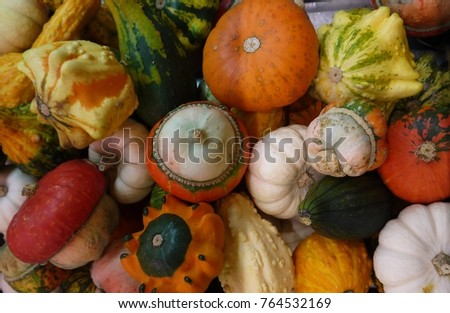 Squash and gourds