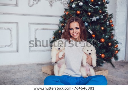Attractive girl in a sweatshirt holds puppies in her arms near the Christmas tree. Mock-up.