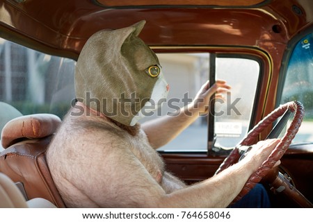 Side view of a shirtless overweight man wearing a weird and funny cat mask while driving a car Royalty-Free Stock Photo #764658046