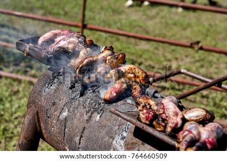 Calf fries or Rocky Mountain Oysters cooking on a charcoal burner outdoors on a farm during the seasonal castration of young calves Royalty-Free Stock Photo #764660509