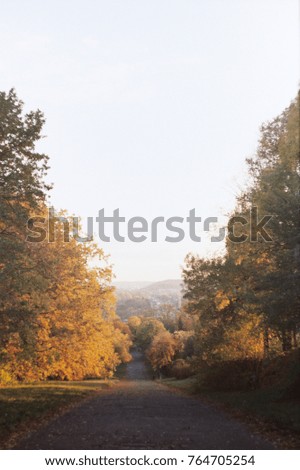 City Kyiv skyline in landscape park. Colorful autumn alley with bright splashes of sun in yellow trees. Cityscape in light fog on the background. Film photo 