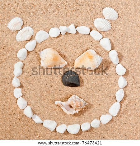 face  of stones  on the beach